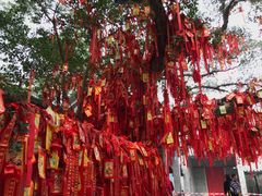 -国恩寺