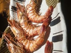 限量海胆-和彩放题餐厅(酒仙桥店)