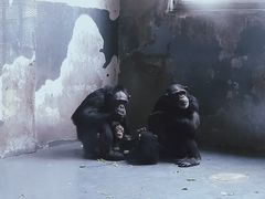 -无锡动物园·太湖欢乐园