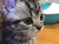 -龟与熊猫宠物公园(南坪店)