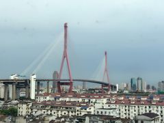 -上海市杨浦区中医医院