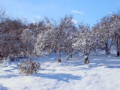 -太子岭滑雪场
