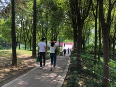 -美兰湖景区