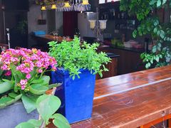 -宝翠花园餐厅(沙湖店)