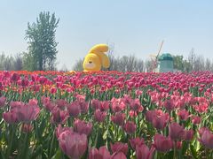 -北京国际鲜花港