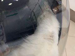 -爱侣宠医·鹦鹉专科·小型哺乳类·异宠专科(灵石路店)