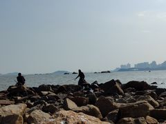 -野狸岛