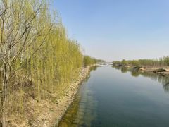 -马家湾湿地公园