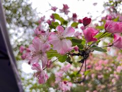 -成都市文化公园