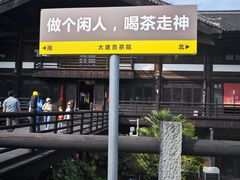 -大唐贡茶院