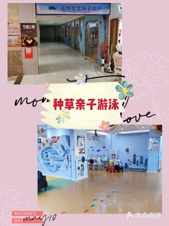 亲子游泳就来蓝鲸宝宝吧