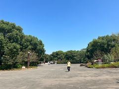 -上海滨江森林公园