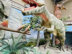 -国家自然博物馆