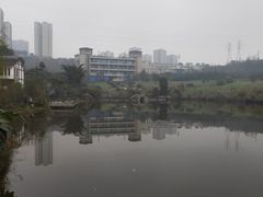 -张坝桂圆林公园