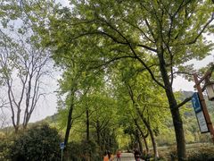 -中国茶叶博物馆(双峰馆区)