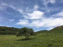 -塞罕坝国家级自然保护区