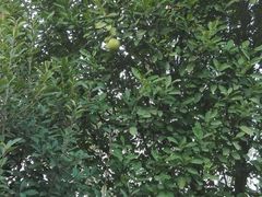 -艾溪湖湿地公园