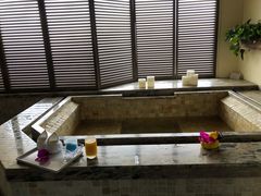 -春晖园度假酒店温泉