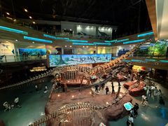 -安徽省地质博物馆