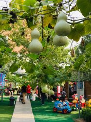 -萌宠亲子动物乐园(槐房万达店)