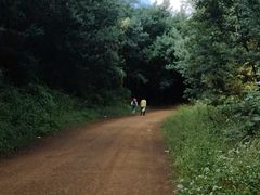 -长虫山生态公园风景林