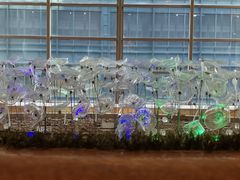 -上海凯宾斯基大酒店