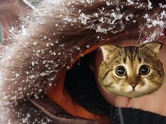 -西岭雪山大飞水景区