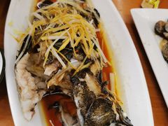 -望海潮海鲜店 特色家常菜(在海一方店)