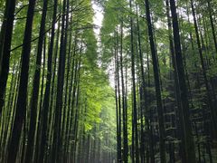 -山王坪喀斯特国家生态公园
