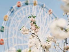 -观澜湖生态运动公社