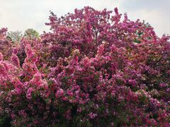 -元大都城垣遗址公园