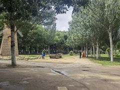 -长白岛森林公园