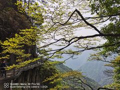 -明月山风景名胜区