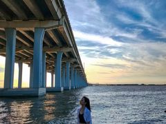 -宝安西湾红树林湿地公园