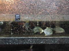 -海鲜e族(马王堆店)