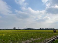 -嘉北郊野公园