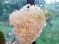 -北马山庄植趣咖啡