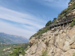 -大芦花风景区