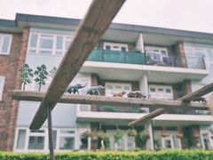 -诺丁山