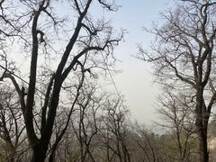 -终南山南五台景区