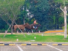 -太阳岛度假酒店