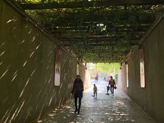 -西安汉城湖景区