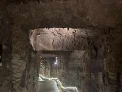-中国西峡恐龙遗迹园