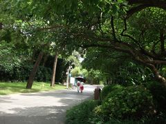 -晓港公园