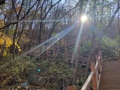 -大岭沟猕猴桃谷风景区