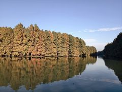 -上海海湾国家森林公园