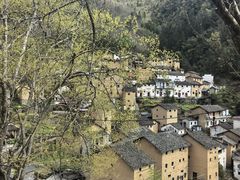 -新安江山水画廊风景区