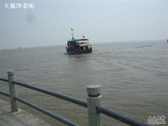 -大湾区中央湿地公园-十九涌
