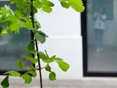 -北平小院设计酒店