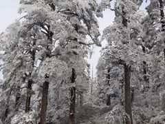 -瓦屋山景区